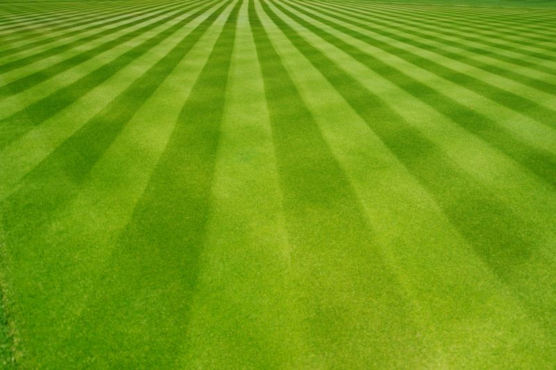 Lawn Stripes and Patterns