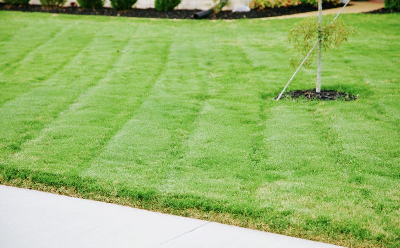 Clean Lawn Edges