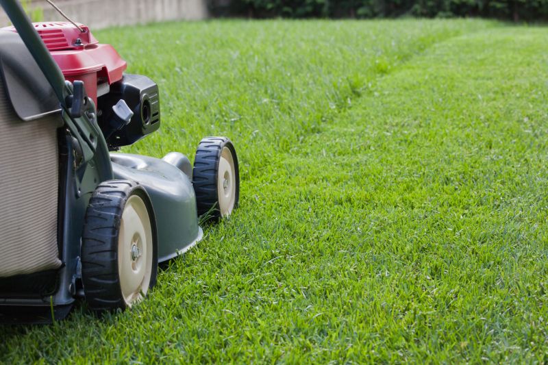 Healthy Lawn After Mowing