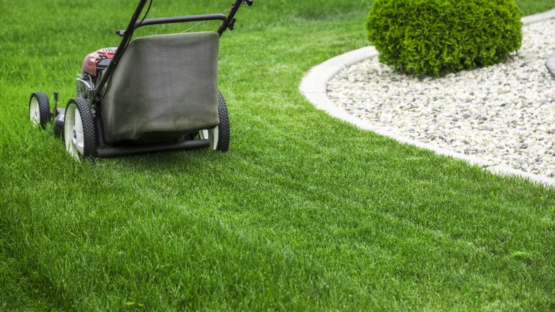 Trimmed Lawns