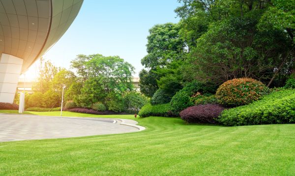 Cost of Commercial Lawn Mowing in Douglasville