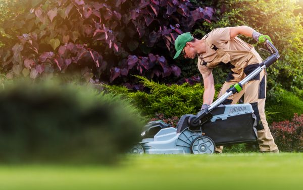 Cost of Lawn Care And Maintenance in Douglasville