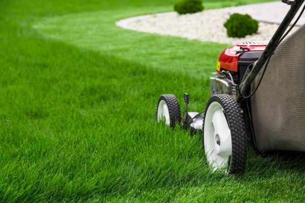 Cost of Lawn Cutting Service in Douglasville