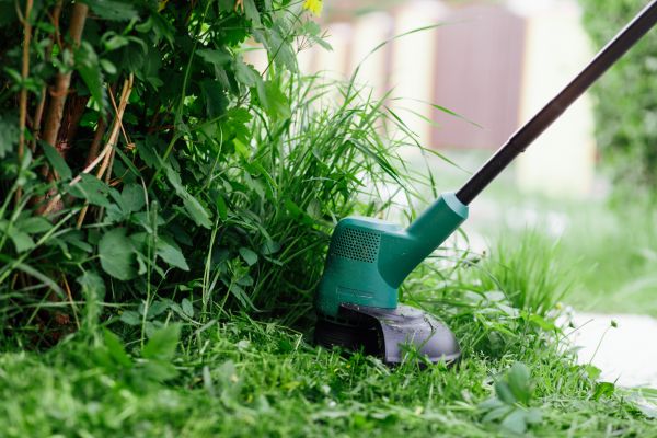 Cost of Weed Whacking in Douglasville