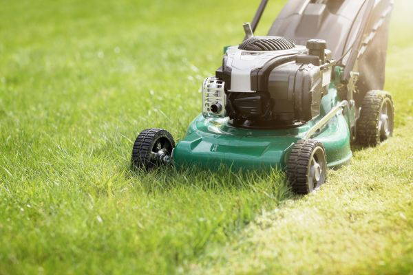 Cost of Yard Cutting in Douglasville