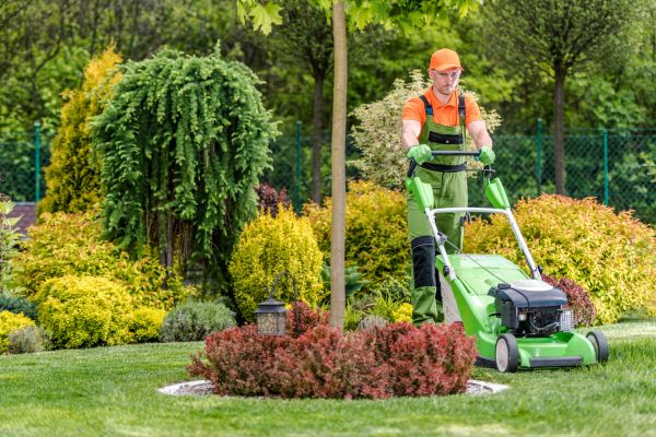 Cost of Yard Service in Douglasville