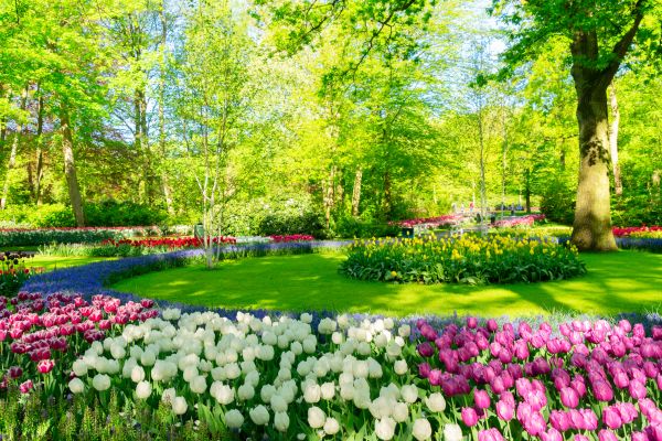 Cost of Spring Lawn Care in Douglasville