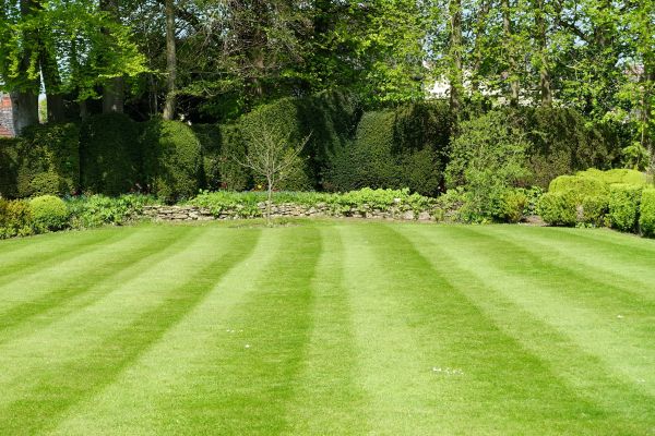 Cost of Grass Care Service in Douglasville