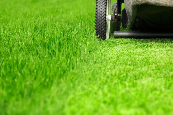 Cost of Weekly Lawn Care in Douglasville