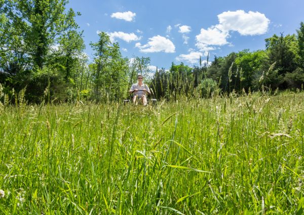 Cost of Long Grass Mowing in Douglasville