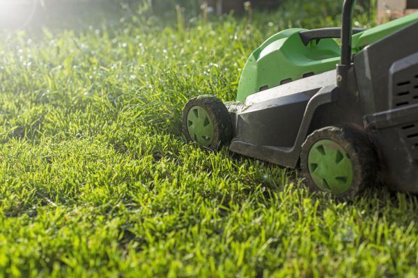 Cost of Lot Mowing in Douglasville