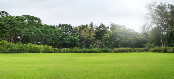 Cost of Golf Course Mowing in Douglasville