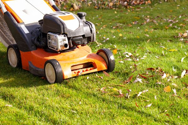 Cost of Fall Mowing in Douglasville