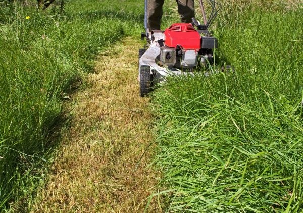 Cost of Leaf Mowing in Douglasville